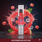Elf Bar 600 Prefilled Pod Kit Watermelon flavour available at Mart Subhani Vape Store Dundee