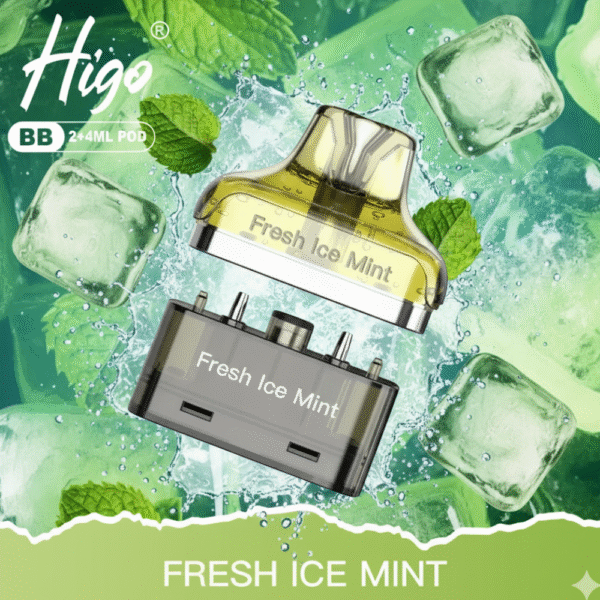 Higo BB 4000 Puffs Pod Kit Fresh Ice Mint available at Mart Subhani Vape Store Dundee